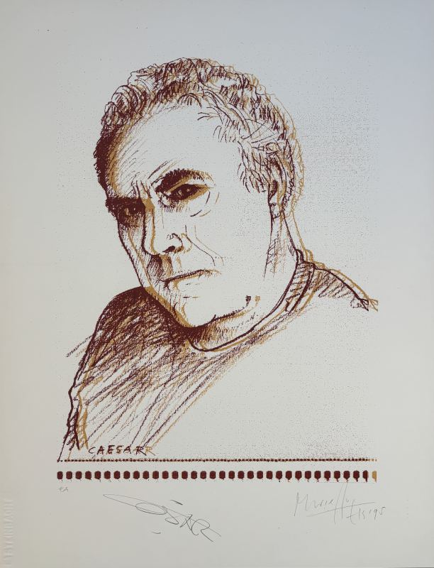 Zeefdruk Cesar Zuiderwijk 